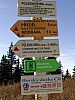 DSC05972.jpg